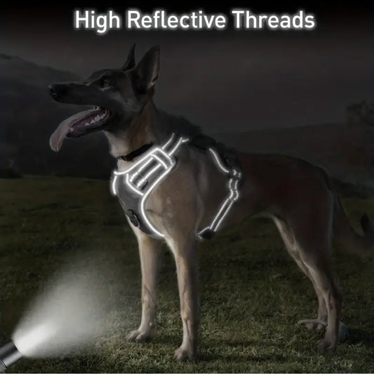 ARNES COLLAR PARA PERROS GRANDES CON CORREA